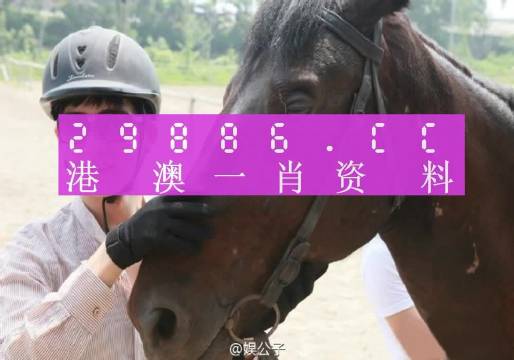 ＂澳門必中一一肖一碼服務內容＂的：實證分析詳細枕_穩(wěn)定版3.13