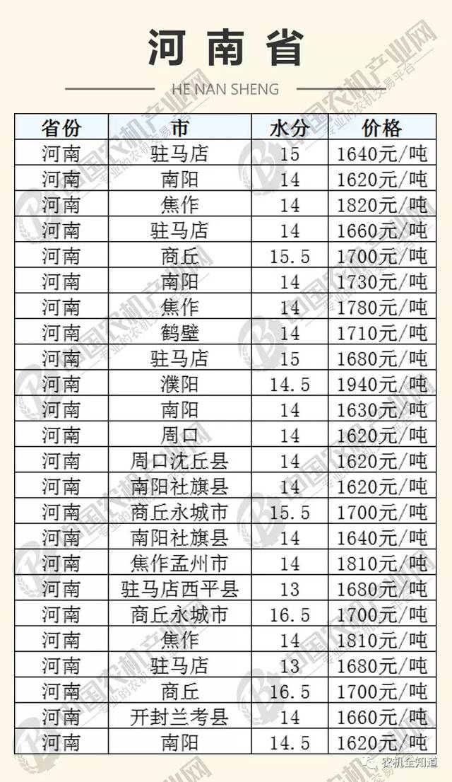 河南玉米價格指南，了解與掌握的技能步驟